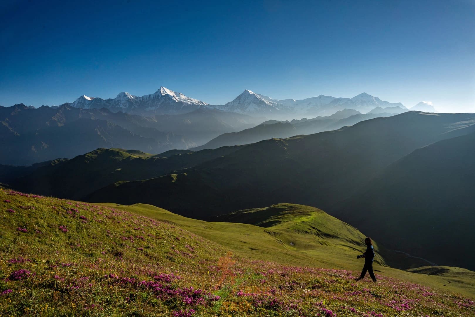 mountain range and green pasture land at dhorpatan region