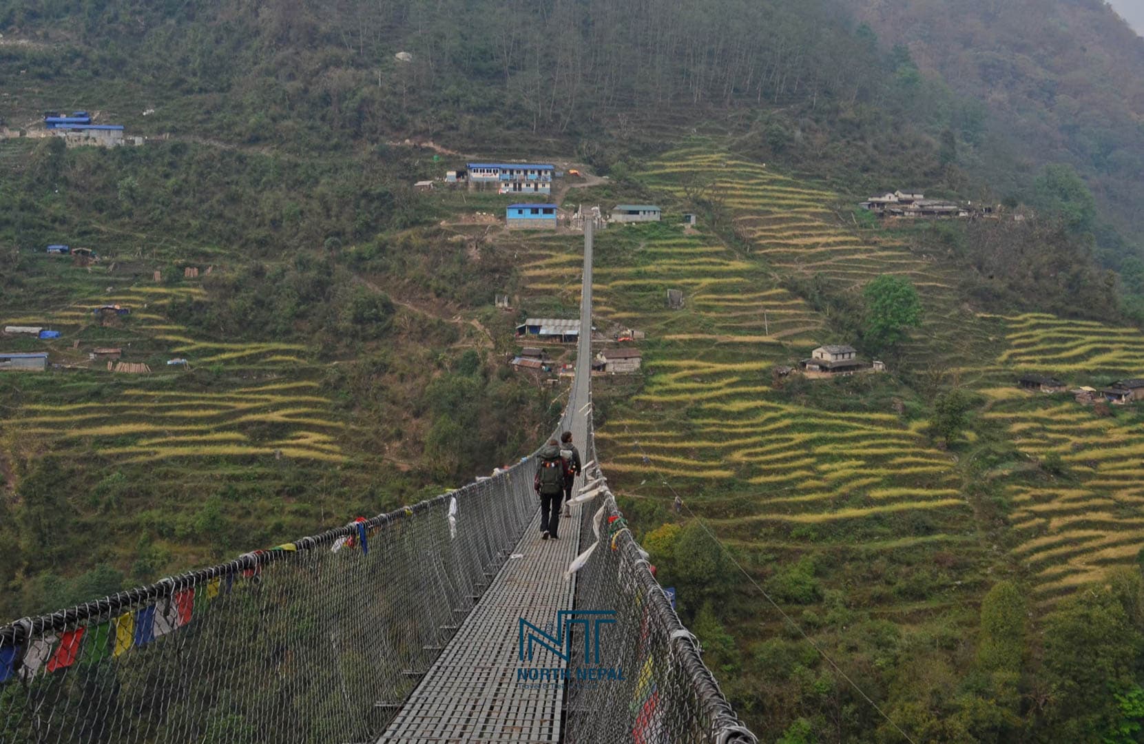 Jhinu Danda suspension bridge 