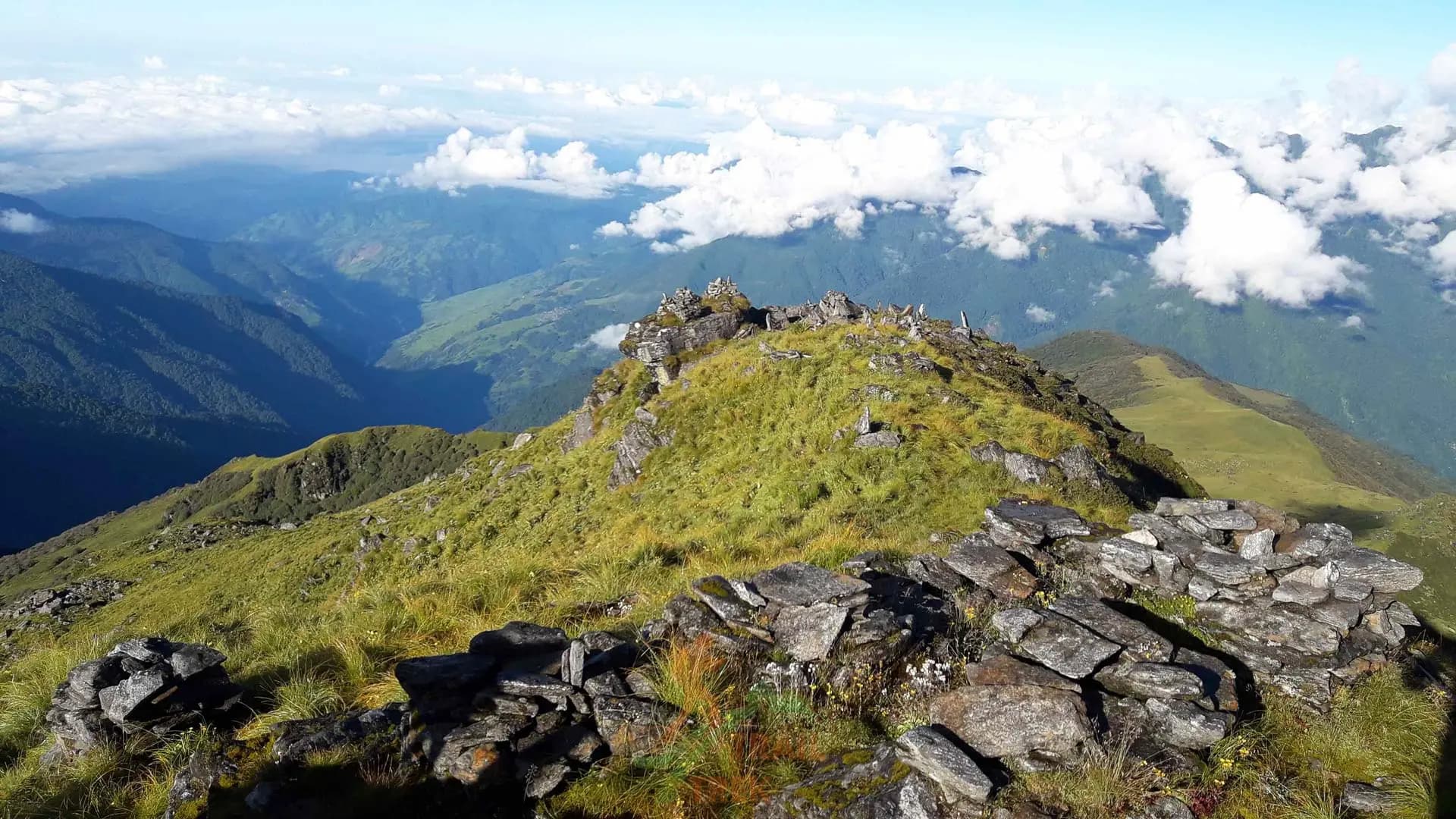 local trail at Kori ridge